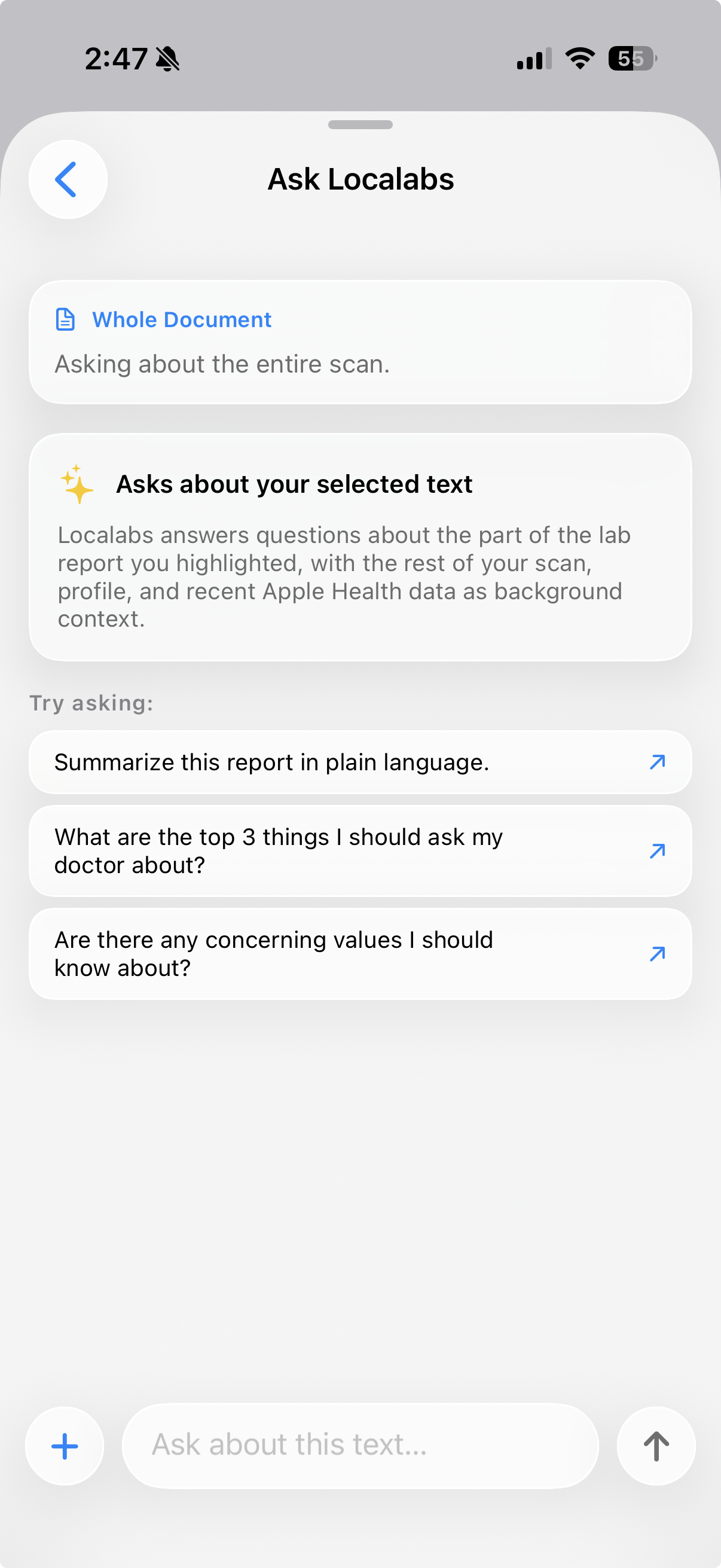 Ask Localabs chat sheet with suggested questions